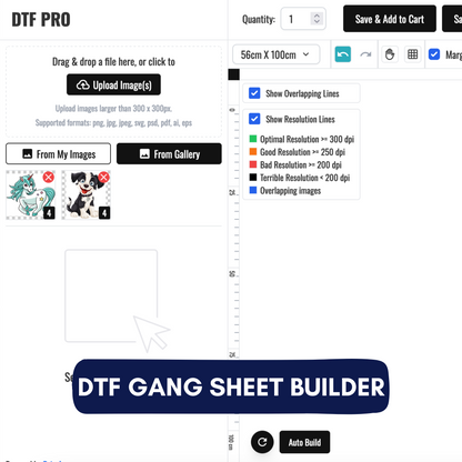 DTF Gang Sheet Builder - 56cm x 100cm