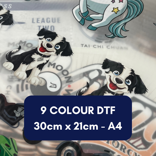 DTF Transfer Sheet - 30cm x 21cm (A4) - 9 Colour